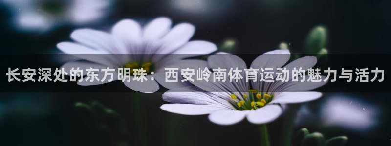 3377体育官网下载招商电话是多少号码：长安深处的东