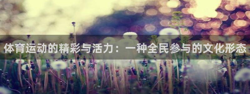 3377体育官网下载平台是正规平台吗：体育运动的精彩