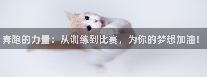 3377体育官网下载招商电话：奔跑的力量：从训练到比
