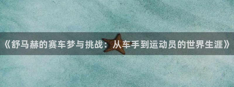 3377体育官网下载平台注册流程图：《舒马赫的赛车梦
