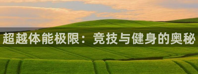 3377体育官网下载联系电话