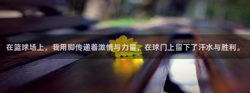 3377体育官网下载平台是正规平台吗知乎：在篮球场上，我用脚