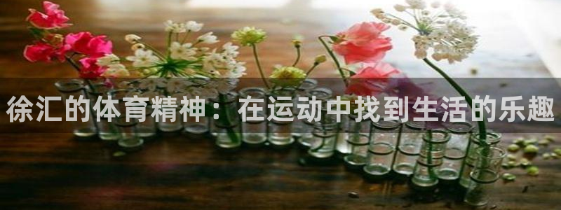 3377体育官网下载招商电话地址：徐汇的体育精神：在