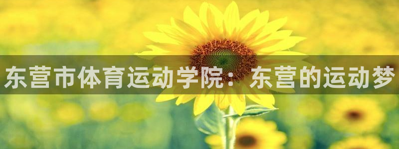 3377体育官网下载招商电话地址是多少：东营市体育运