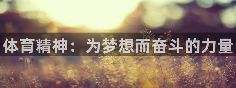 3377体育官网下载软件：体育精神：为梦想而奋斗的力