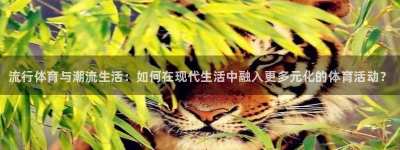 3377体育官网下载娱乐：流行体育与潮流生活：如何在现代生活