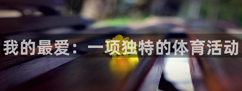 3377体育官方正版app官网：我的最爱：一项独特的体育活动