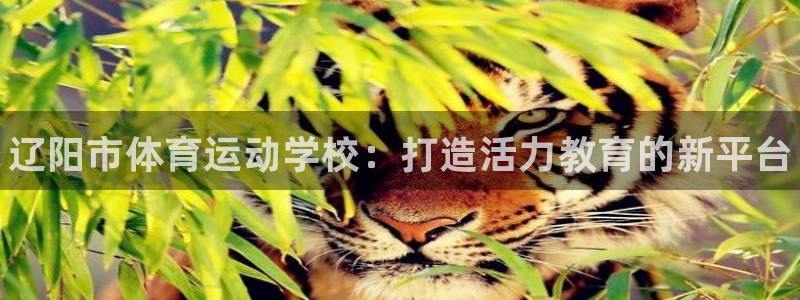 3377体育官方正版app集团官网首页网址：辽阳市体育运动学