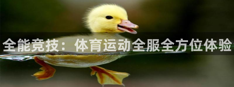 3377体育官方正版app开户：全能竞技：体育运动全服全方位