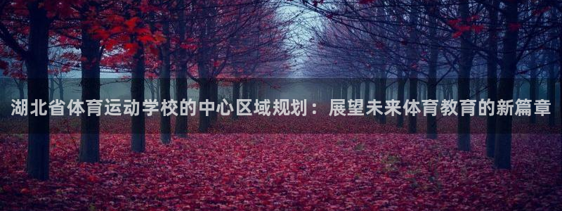 3377体育官方正版app娱乐下载：湖北省体育运动学