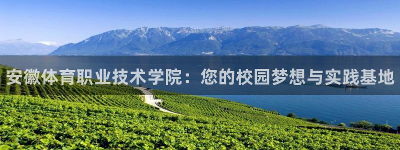 3377体育官网下载平台：安徽体育职业技术学院：您的