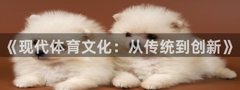 3377体育官方正版app集团：《现代体育文化：从传