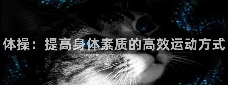 3377体育官网下载官方客服电话：体操：提高身体素质