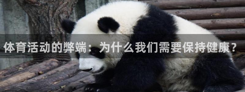 3377体育官网下载招商电话号码：体育活动的弊端：为