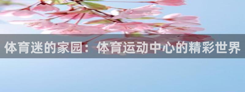 3377体育官方正版app娱乐首页网站大全：体育迷的