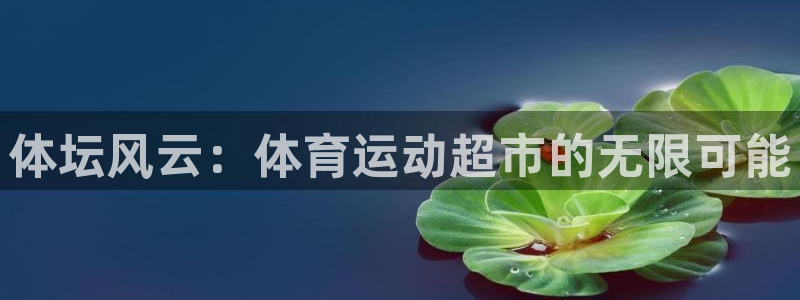 3377体育官方正版app娱乐平台：体坛风云：体育运