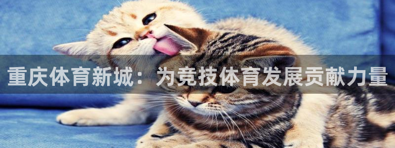 3377体育官网下载平台：重庆体育新城：为竞技体育发