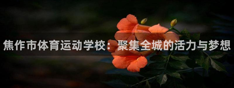 3377体育官网下载平台APP：焦作市体育运动学校：