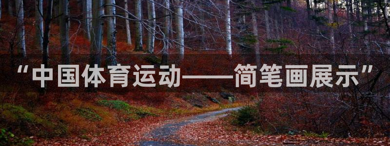 3377体育官网下载平台注册流程图：“中国体育运动—