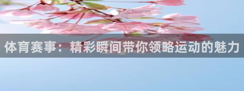 3377体育官方正版app娱乐是那个系列的台子：体育赛事：精