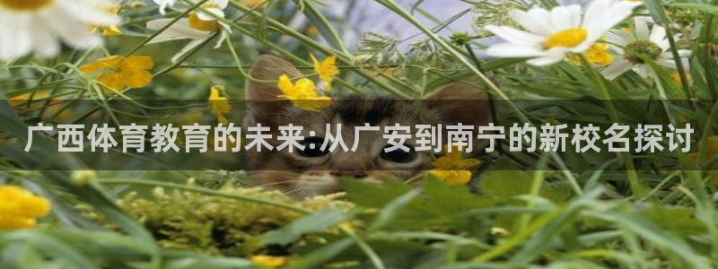 3377体育官方正版app代理：广西体育教育的未来: