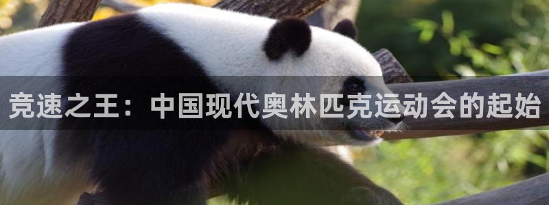 3377体育官方正版app娱乐是那个系列的台子：竞速