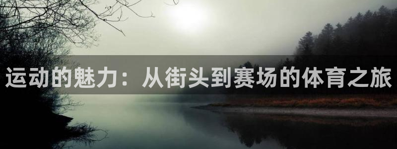 3377体育官方正版app官网：运动的魅力：从街头到