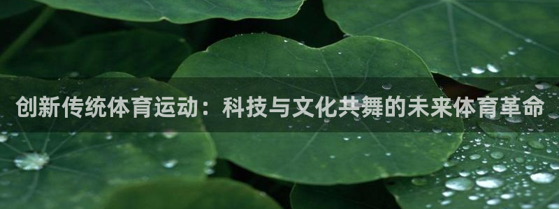3377体育官网下载平台注册：创新传统体育运动：科技