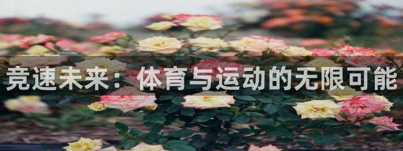 3377体育官网下载官方客服电话：竞速未来：体育与运动的无限