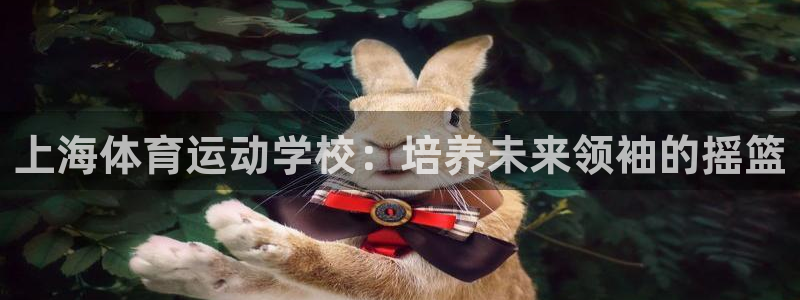 3377体育官方正版app娱乐40996：上海体育运动学校：