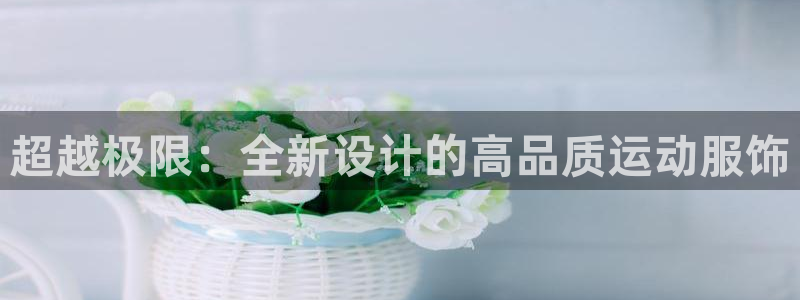 3377体育官方正版app集团logo：超越极限：全新设计的