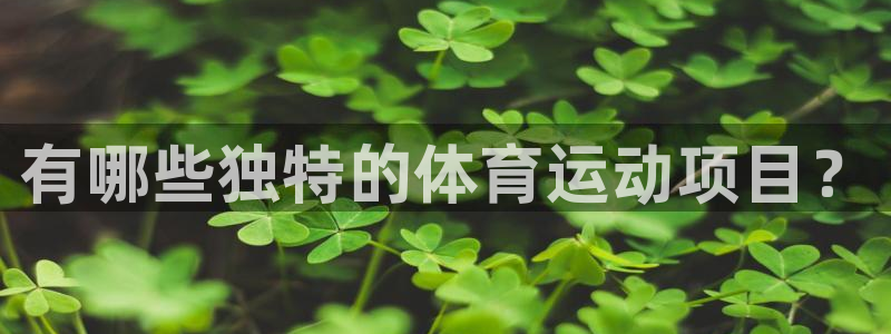 3377体育官网下载招商电话是多少