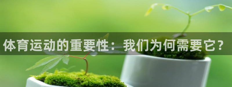 3377体育官方正版app娱乐网站：体育运动的重要性：我们为