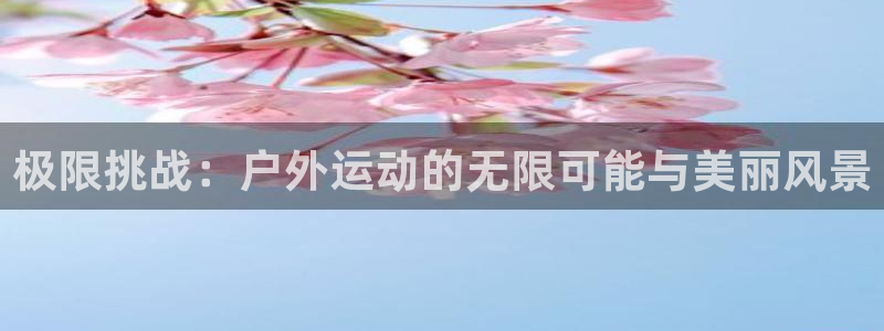 3377体育游戏