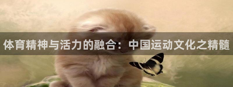 3377体育不出款