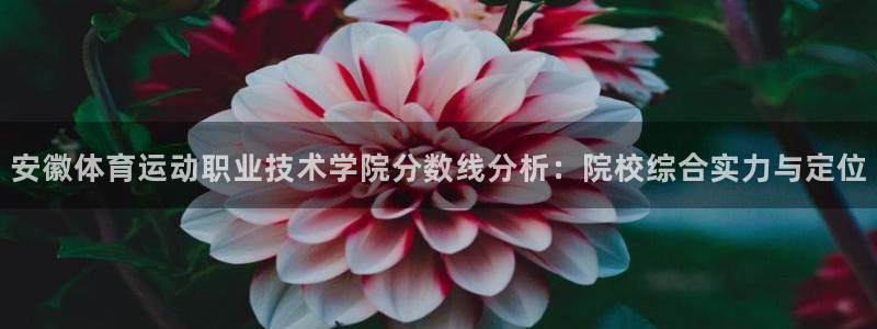 3377体育手机平台：安徽体育运动职