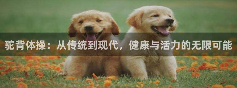 3377体育唯一官方网站：驼背体操：从传统到现代，健康与活力