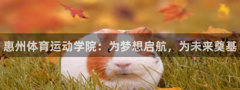 3377体育：惠州体育运动学院：为梦