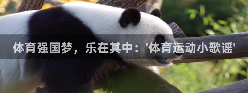 3377体育是什么：体育强国梦，乐在