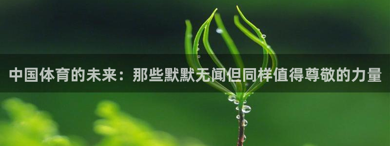 3377体育游戏：中国体育的未来：那些默默无闻但同样值得尊敬