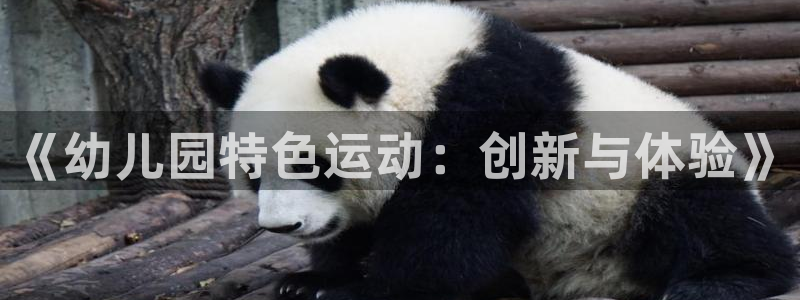 3377体育app倒闭了吗知乎：《幼儿园特色运动：创新与体验