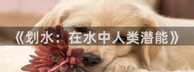  3377体育官网下载：《划水：在水中人类潜能》