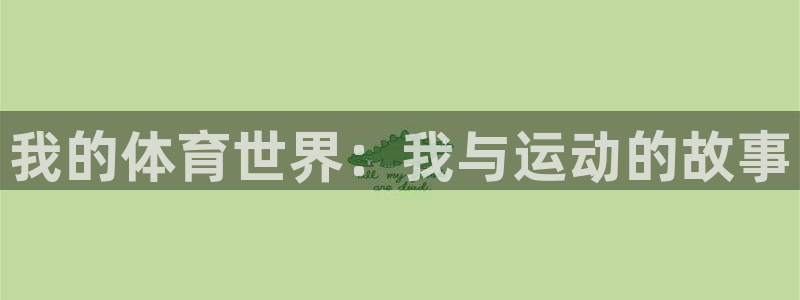  3377体育十大必吃榜：我的体育世界：我与运动的故事