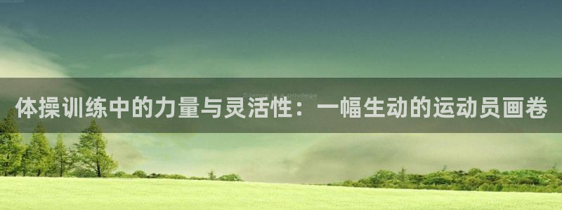 3377体育被国家取消了吗：体操训练中的力量与灵活性：一幅生