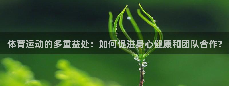 3377体育app官网下载最新版本2