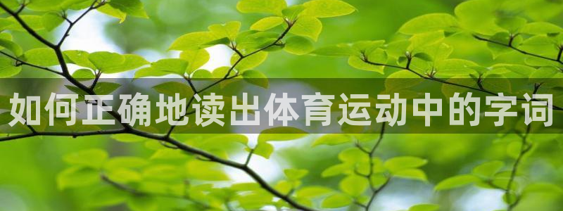 3377体育最厉害三个平台：如何正确