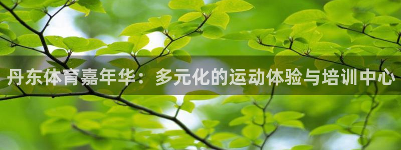 3377体育被国家取消了吗：丹东体育