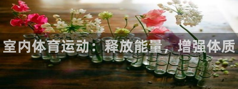 3377体育是诈骗吗：室内体育运动：